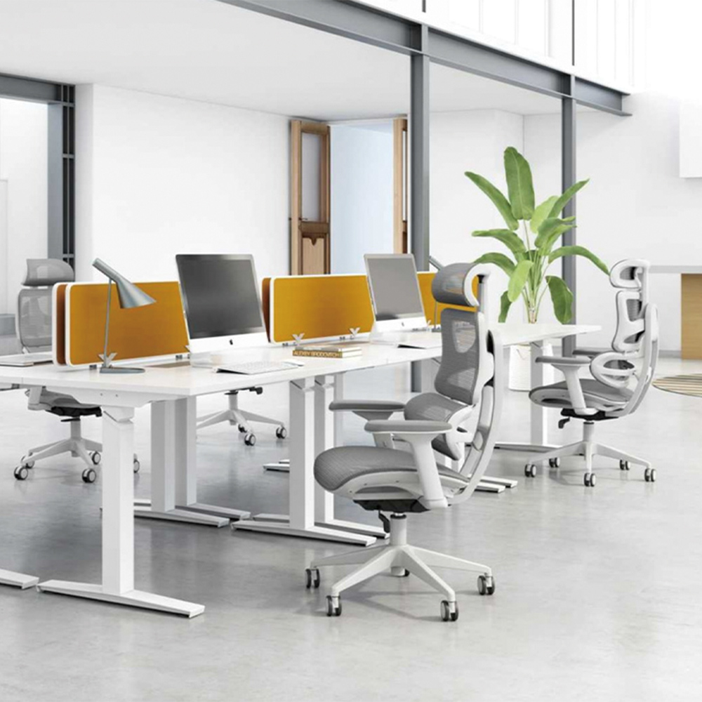Livora One CORE